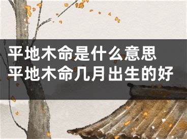 平地木命 什么意思|八字平地木命 平地木命是什么